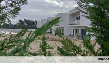 “Buraco” de 27 milhões: Romeu culposo, esposa despedida, Louis Vuitton e Chanel no saco - Jornal de Negócios