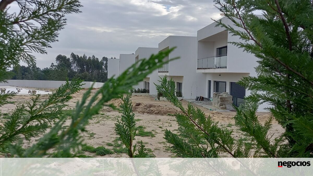 “Buraco” de 27 milhões: Romeu culposo, esposa despedida, Louis Vuitton e Chanel no saco - Jornal de Negócios