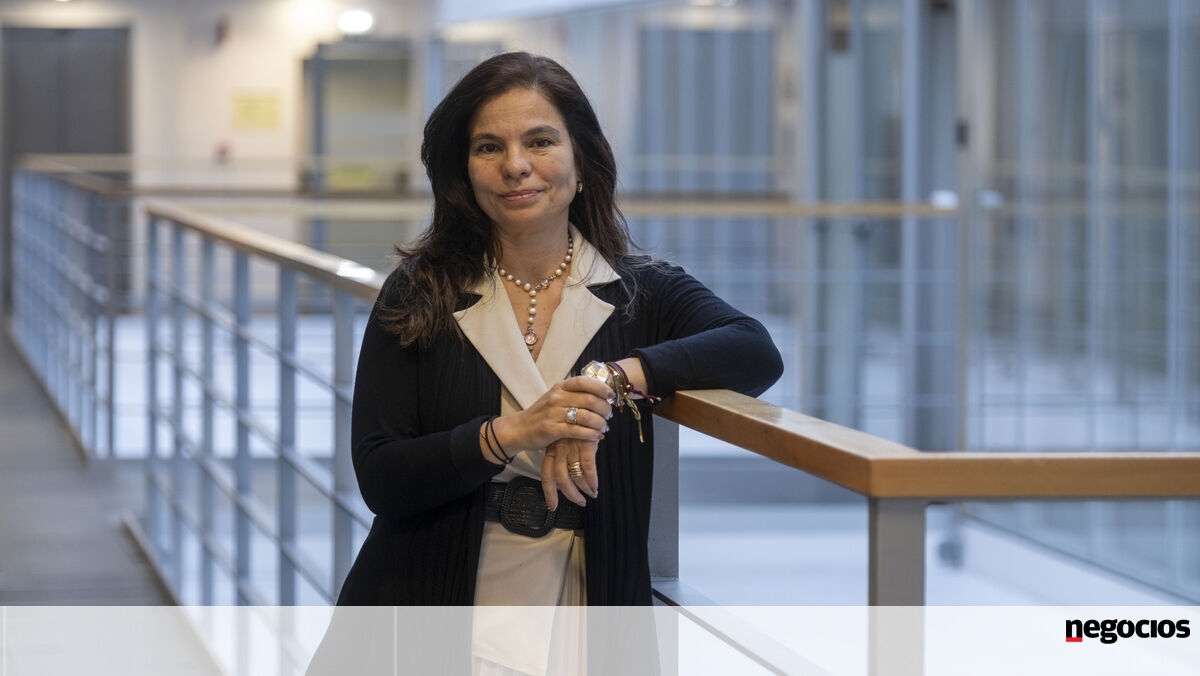 Lei da Nacionalidade: "Há alguma desilusão com as alterações de regras a meio do jogo" - Sustentabilidade