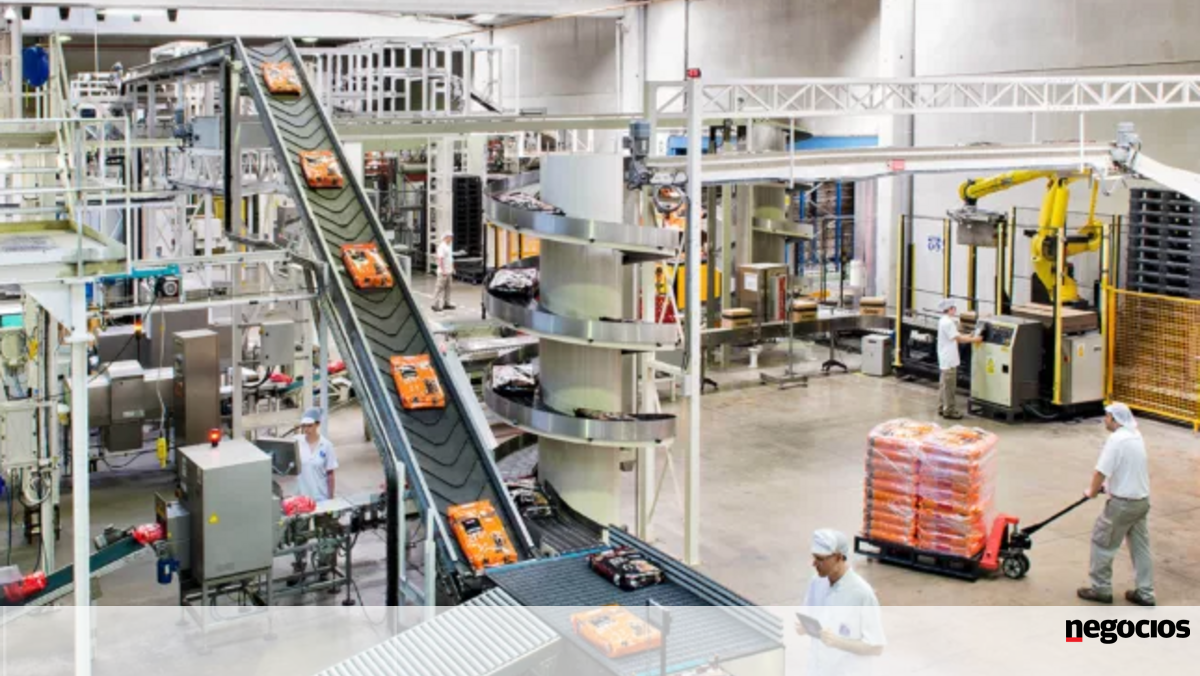 Belgas vão investir mais de 25 milhões em Portugal numa fábrica de alimentos para cães e gatos - Indústria