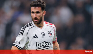 Rafa pode ser o segundo trintão por quem Rui Costa admite pagar - Benfica