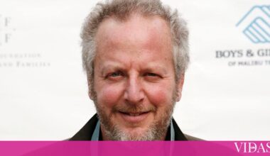 Ladrão de 'Sozinho em Casa' acusado de requisitar serviços de prostituição - cmjornal.pt