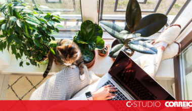 Adeus, centro da cidade? Olá, T3 com escritório - C Studio