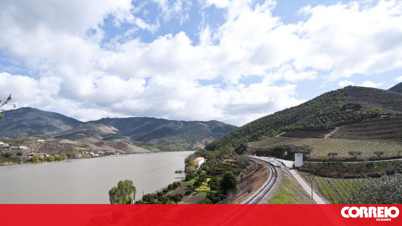Mulher morre colhida por comboio na Linha do Douro em Alfena. Circulação está suspensa nos dois sentidos - Portugal