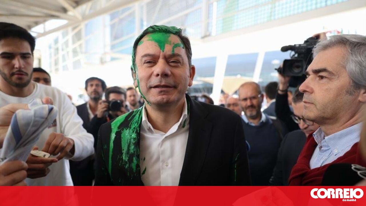 Relação confirma condenação de ativista que atirou tinta verde a Luís Montenegro - Política