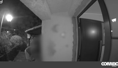 Juíza que libertou bombeiro agressor da Madeira deixou violador à solta - Portugal