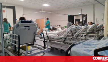 INSA esclarece que primeiro caso de 'Candida auris" em Portugal foi detetado em 2022 - Sociedade