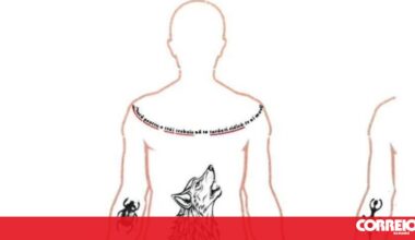 PJ lança apelo para identificar cadáver na Madeira - Portugal