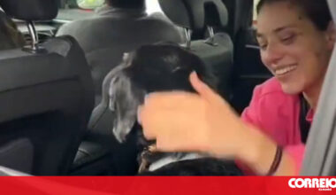 Encontrado cão desaparecido após colisão entre comboios em Córdoba. Veja as imagens - Mundo