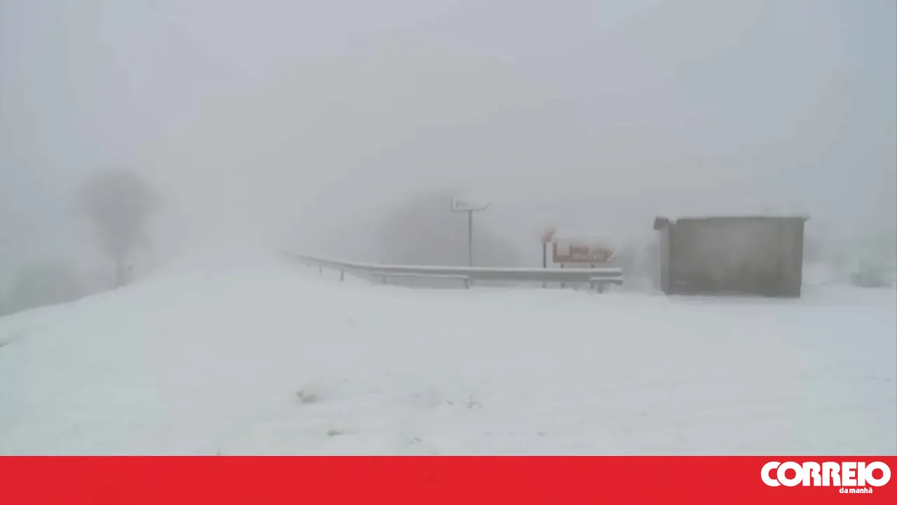 Nevão deixa equipa da CMTV retida em Castro Daire. Há várias estradas cortadas - Sociedade