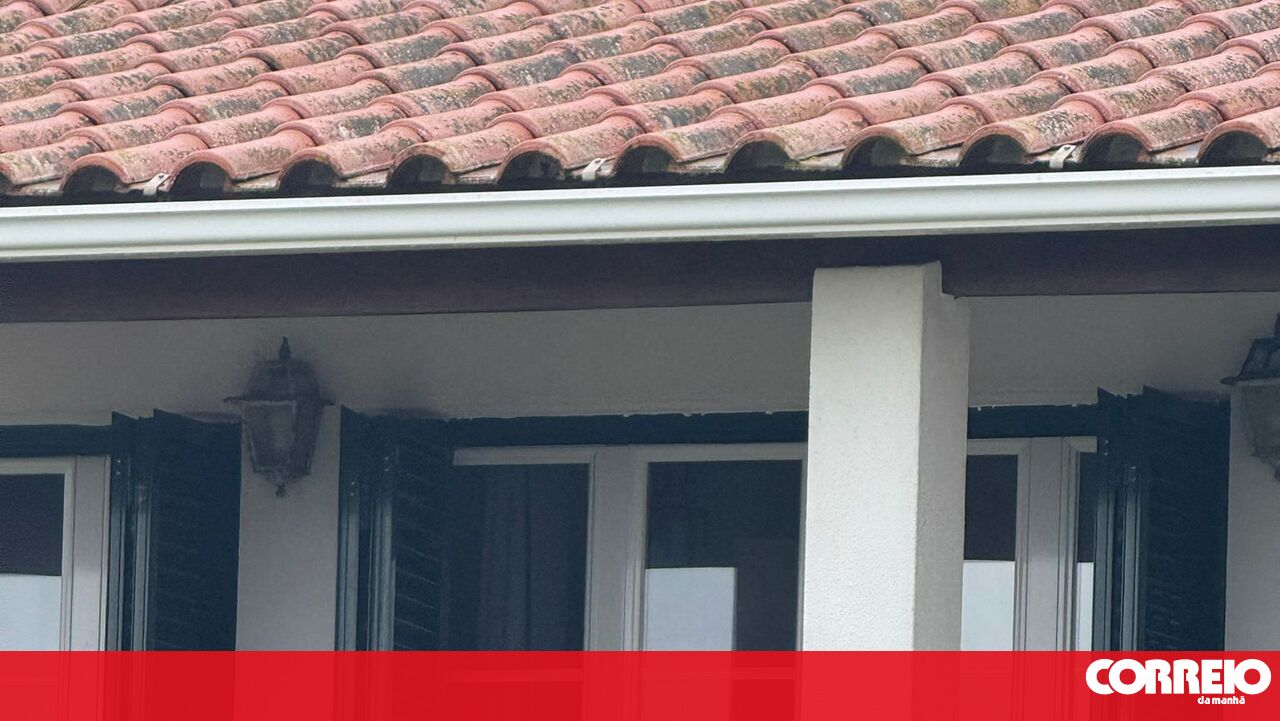 Janela partida em casa de filha de atriz desaparecida reforça suspeitas de sequestro - Portugal