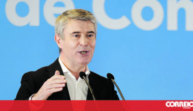 Carneiro sem rival à vista no PS - Política