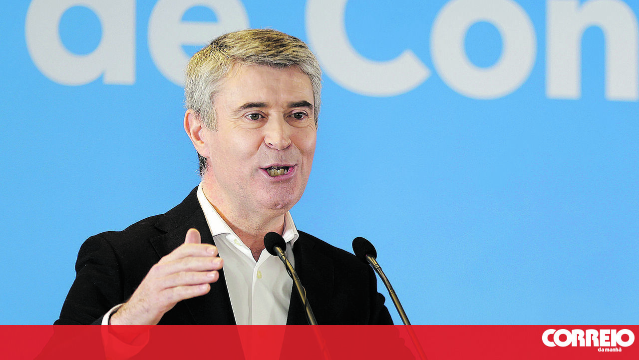 Carneiro sem rival à vista no PS - Política