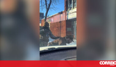 Dois agentes do ICE dispararam contra Alex Pretti em Minneapolis - Mundo