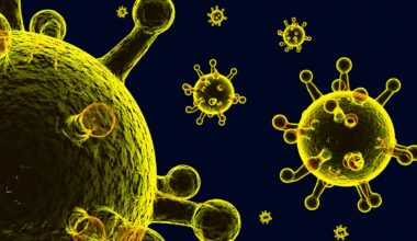 Ícone de sino para notificações