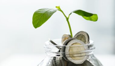 Investir dinheiro representado com uma folha a brotar de uma jarra com moedas