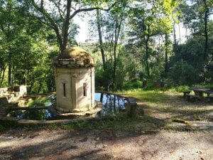 mata charolinha IMG 20200516 091431