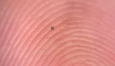 cientistas criam o menor robô autônomo do mundo, capaz de se mover e processar dados