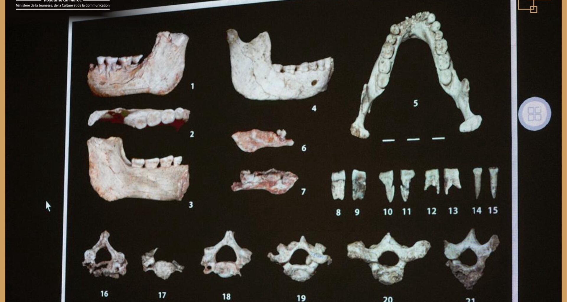 Restos humanos de 773 mil anos, encontrados no Marrocos, solucionam enigmas sobre origem do Homo sapiens