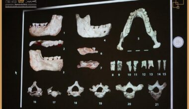 Restos humanos de 773 mil anos, encontrados no Marrocos, solucionam enigmas sobre origem do Homo sapiens