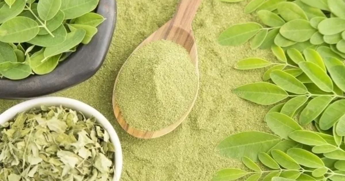Um dos principais destaques da moringa está no seu valor nutricional