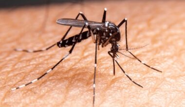 óbitos caem quase um terço em 2025