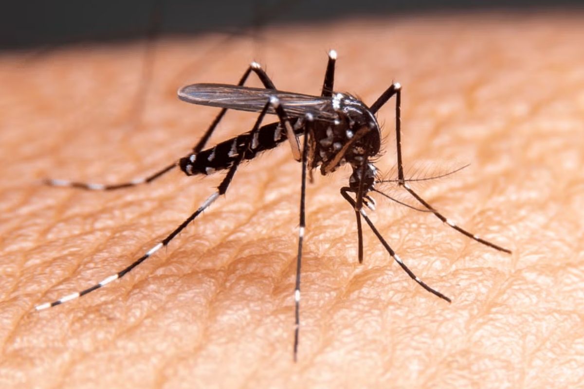 óbitos caem quase um terço em 2025