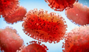 São Paulo registra segundo caso de nova cepa de Mpox no Brasil