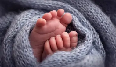 Portugal atingiu em 2025 o maior número de nascimentos da última década