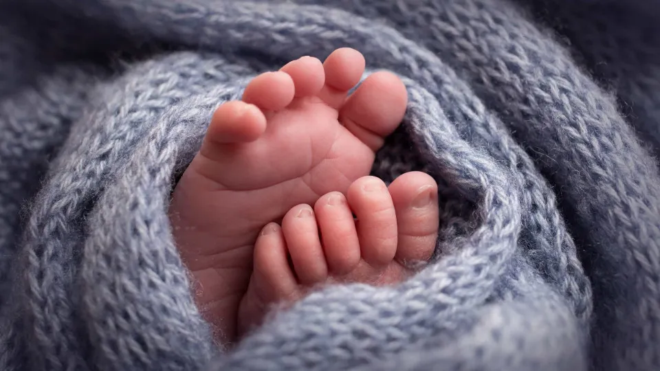 Portugal atingiu em 2025 o maior número de nascimentos da última década