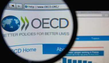 Da habitação ao trabalho: OCDE analisou Portugal e deixou vários recados