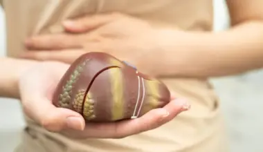 Cuidado com o seu fígado! Esta alimentação pode aumentar risco de cancro