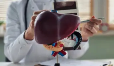 Os sintomas silenciosos da gordura no fígado, alerta endocrinologista