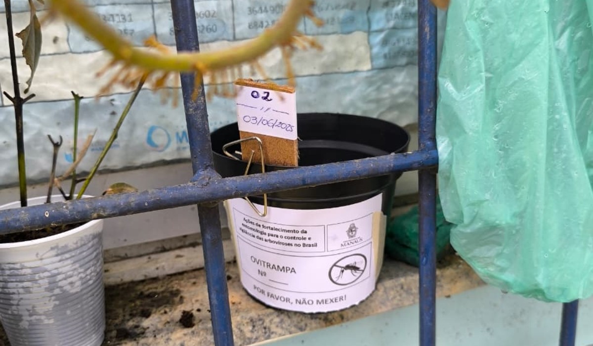 Manaus Adota Ovitrampas no Combate à Dengue