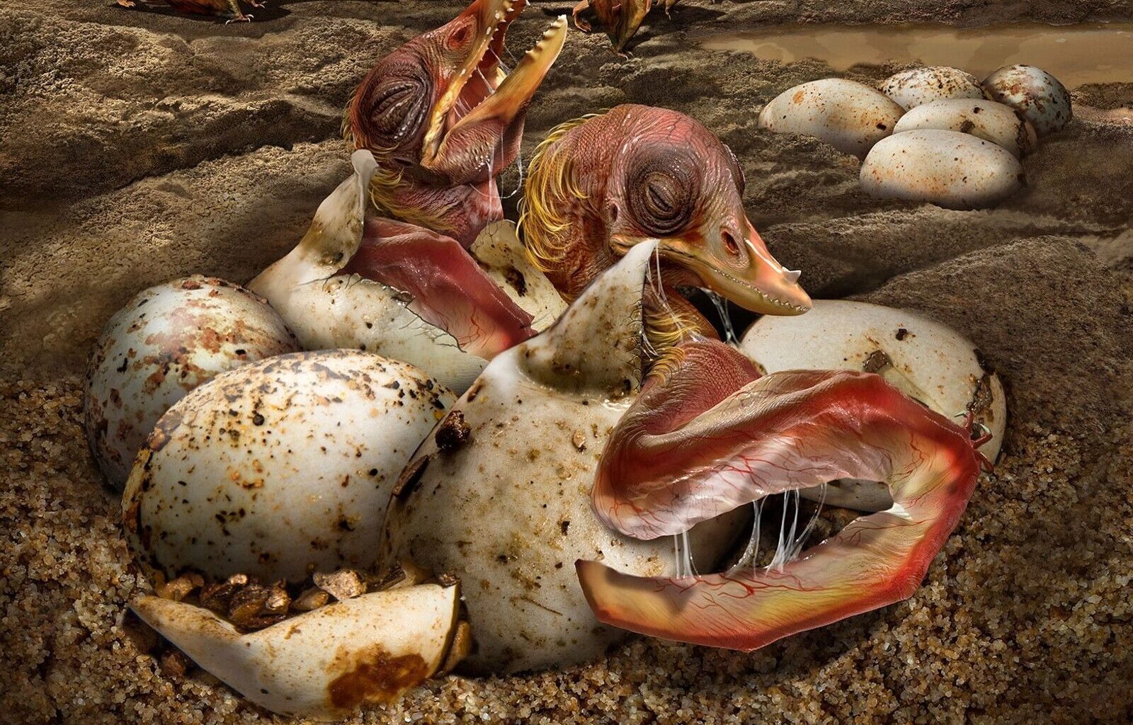 Ovos fossilizados de dinossauro revelam uma nova forma de identificar a era dos animais pré-históricos | National Geographic