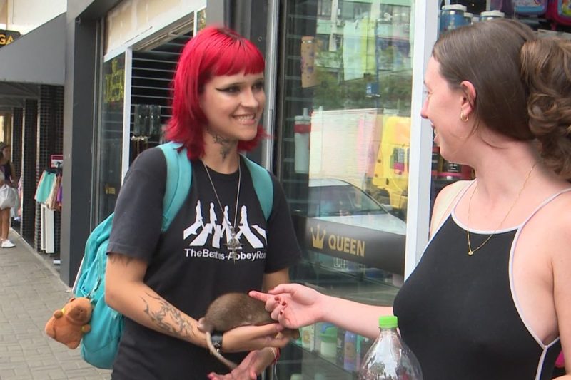O casal conta que muitas pessoas levam até mais caixinhas de brigadeiro por conta do Bento - Reprodução/Flávio Armanini/NDTV/ND Mais