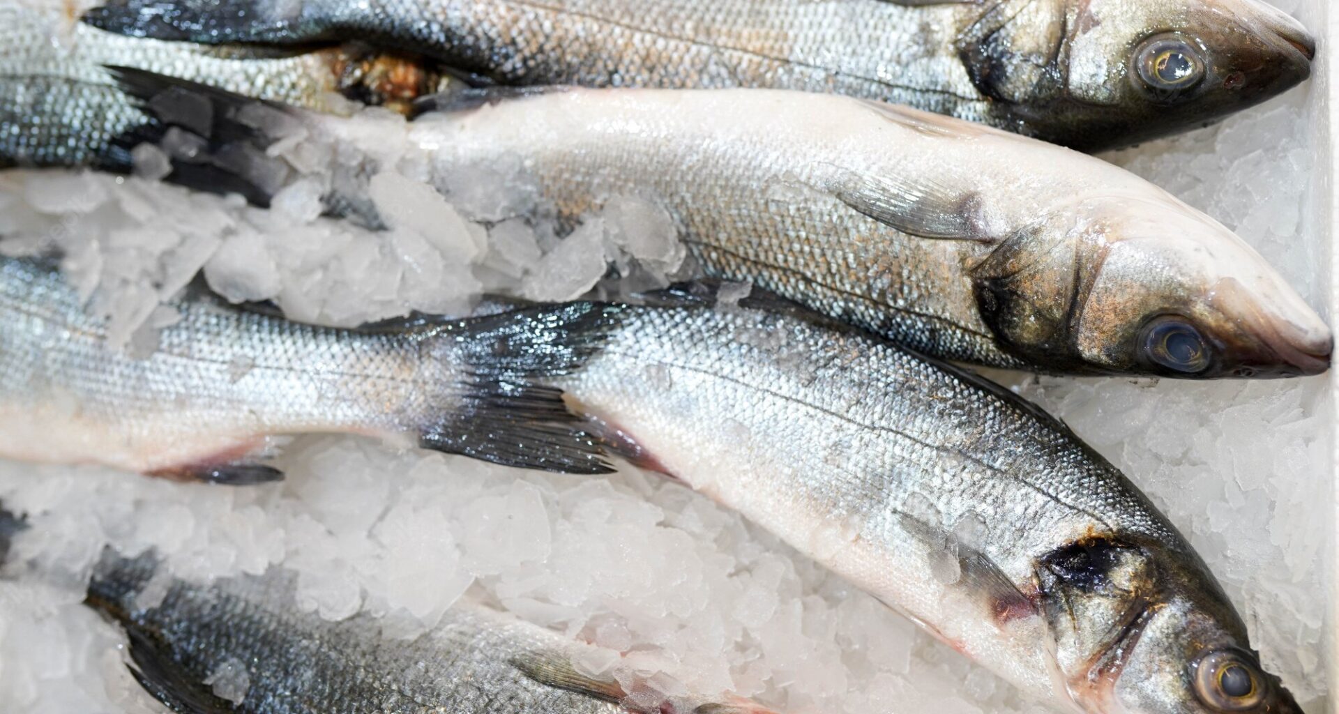 Esta parte da pescada deve ser retirada devido a parasitas, alerta especialista