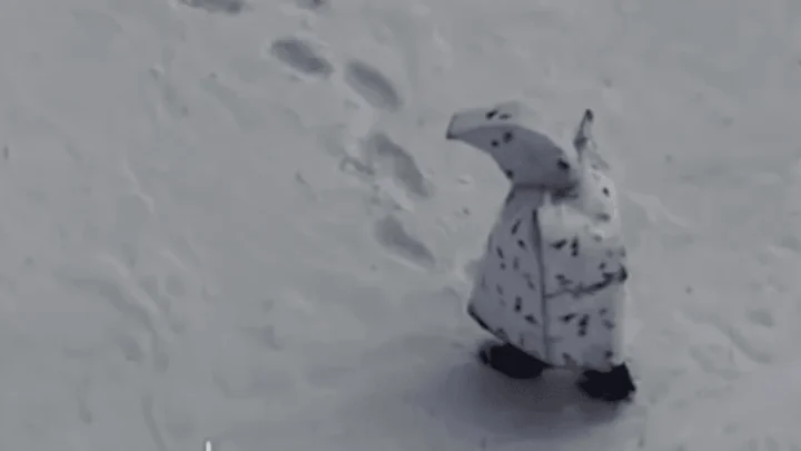 Imagem da nova camuflagem de inverno russa, apelidada de “Pinguim”