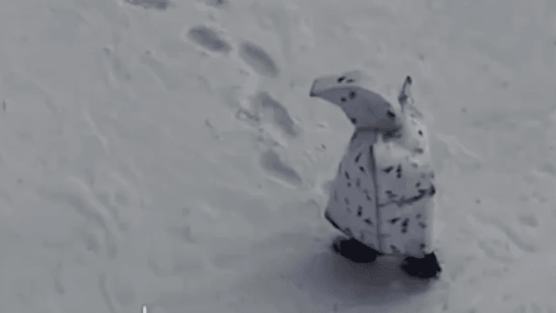 Imagem da nova camuflagem de inverno russa, apelidada de “Pinguim”