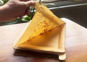 prato descartável biodegradável da marca Peelware