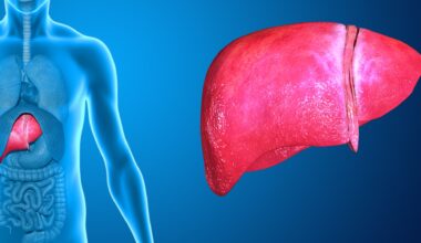 Prescrições médicas gratuitas e ilimitadas