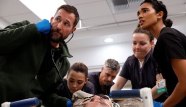 Por que 'The Pitt' é a melhor série médica da televisão?