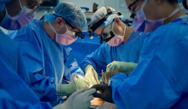 Como o sistema imunológico reage a transplante de rim de porco? Entenda