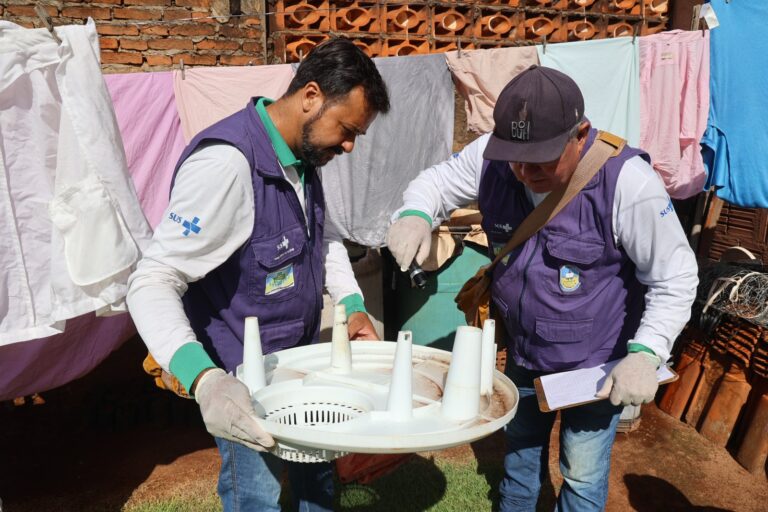 Prefeitura cria plataforma ArboNotifica para monitorar arboviroses em Dourados