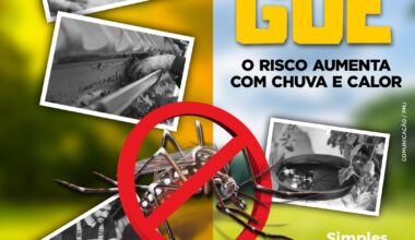 Dengue: Com chuva e calor, o risco aumenta! - Prefeitura de Jataí
