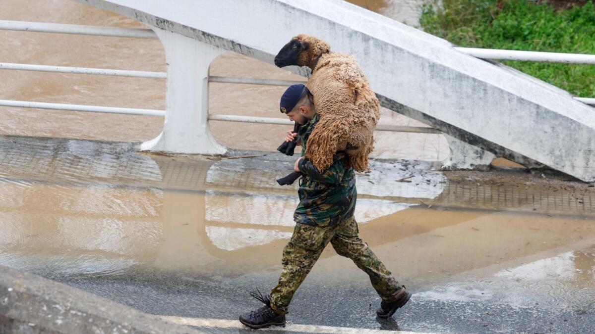 Jornal de Notícias Logo
