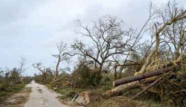 Mulher moçambicana morre em Leiria durante passagem da tempestade Kristin