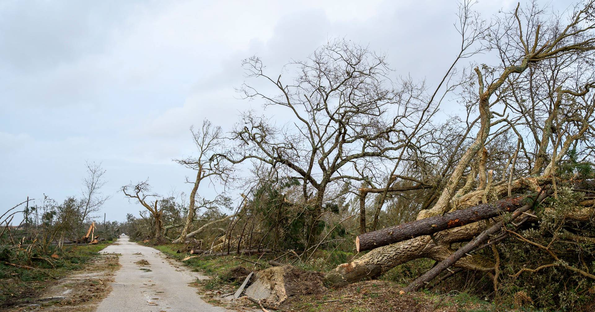 Mulher moçambicana morre em Leiria durante passagem da tempestade Kristin