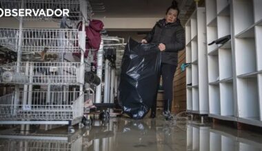 Água do Sado "entrou por todo o lado" em Alcácer do Sal – Observador