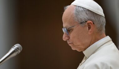 Vítima irlandesa de abusos encontra o Papa: “Ele sentiu a minha dor”